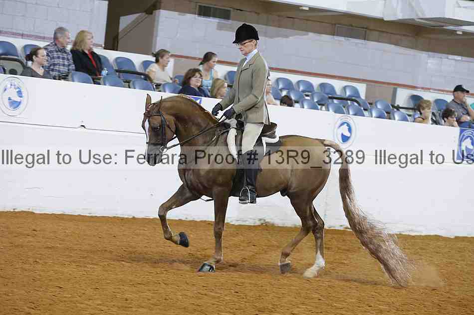 Proof 13r9_3289