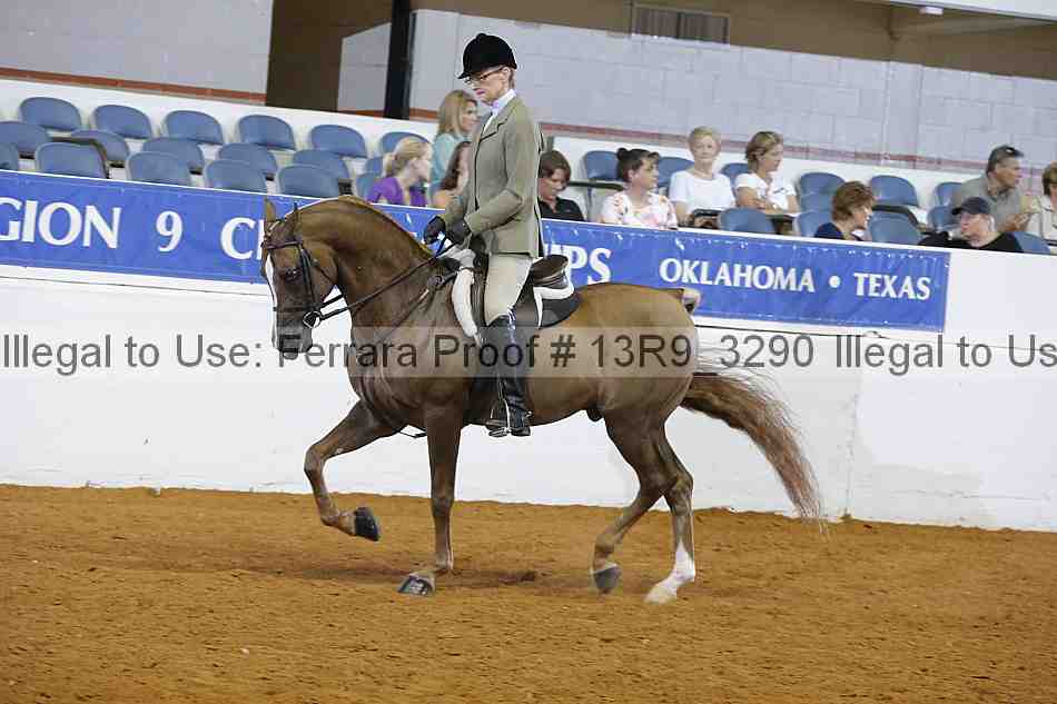 Proof 13r9_3290
