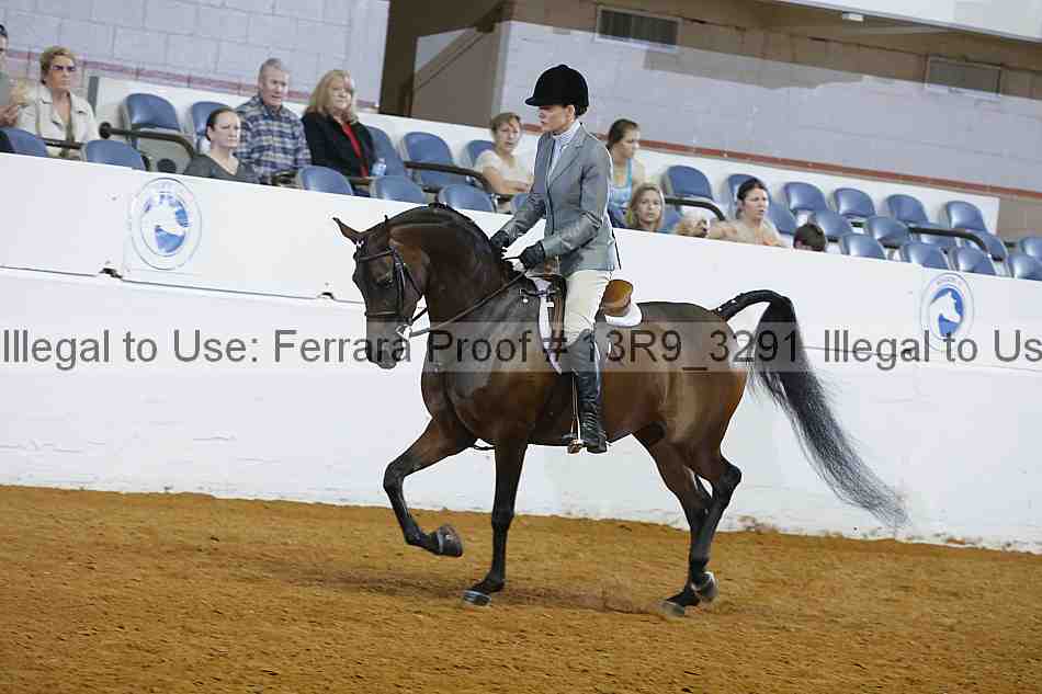 Proof 13r9_3291
