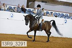 13r9_3291 proof