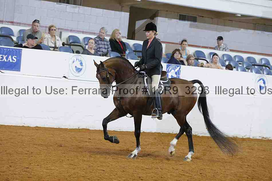 Proof 13r9_3293