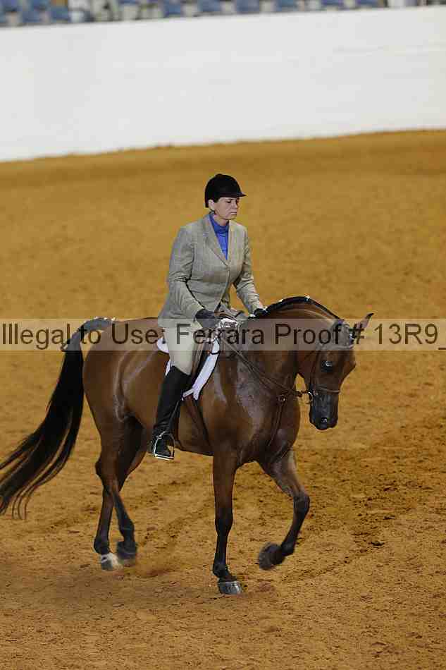 Proof 13r9_3294