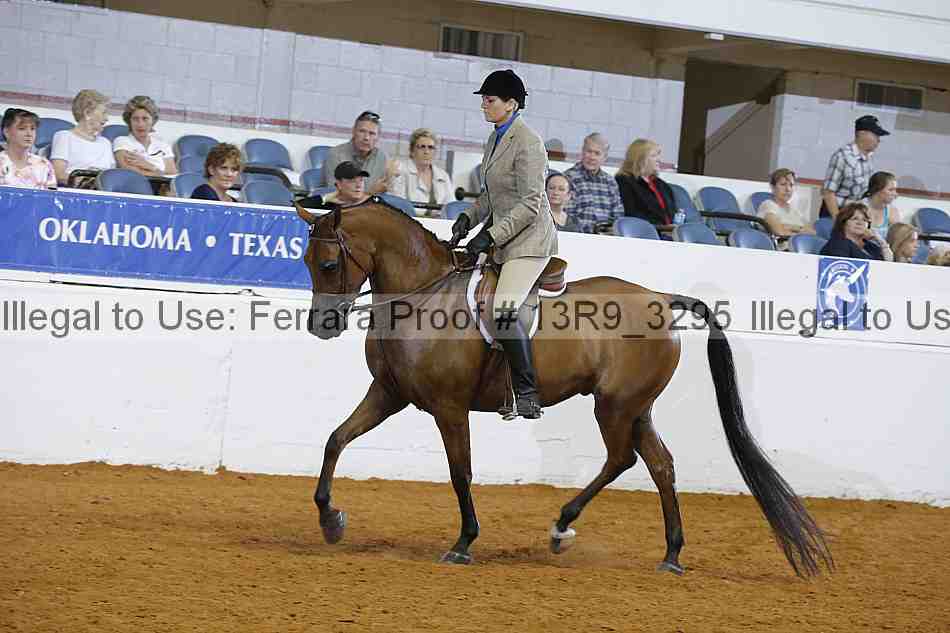 Proof 13r9_3295