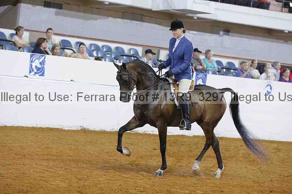 Proof 13r9_3297