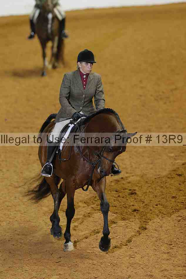 Proof 13r9_3298
