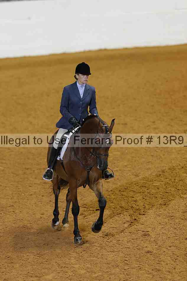 Proof 13r9_3303