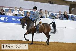 13r9_3304 proof