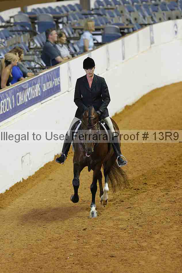 Proof 13r9_3305