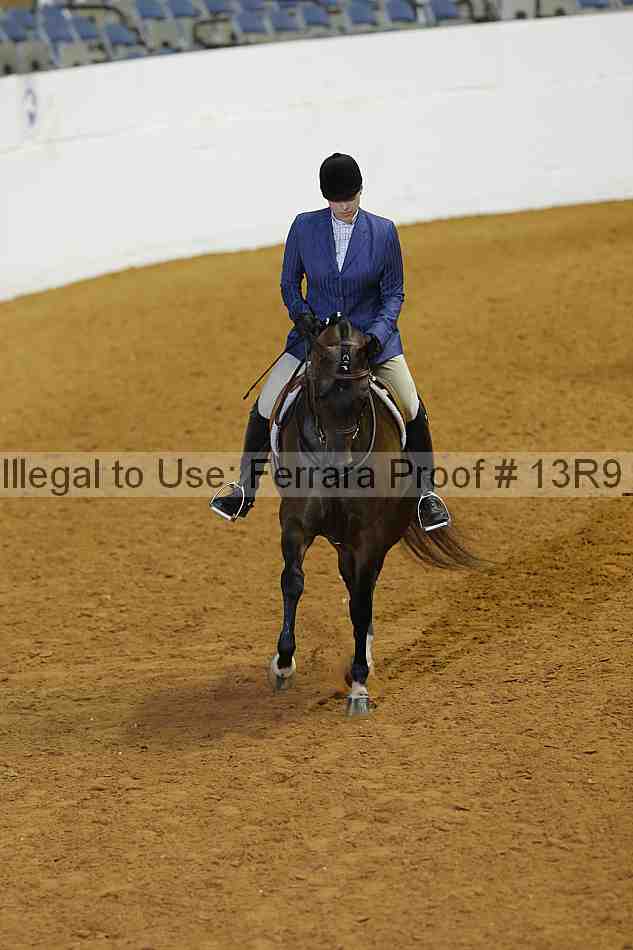 Proof 13r9_3306