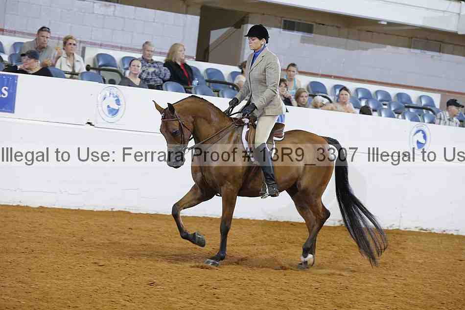 Proof 13r9_3307