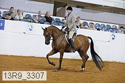 13r9_3307 proof
