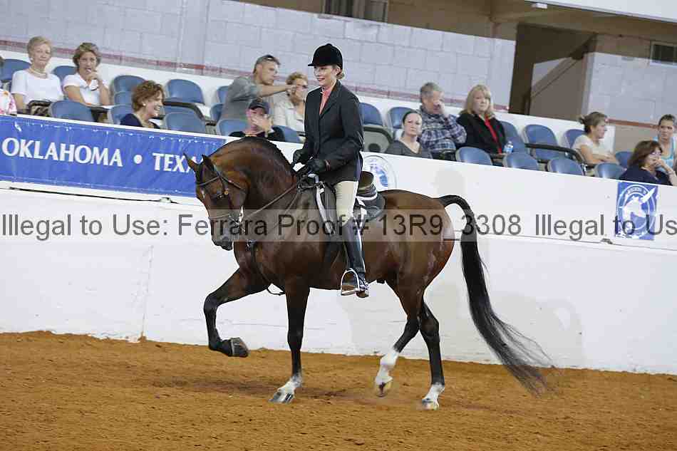 Proof 13r9_3308