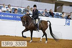 13r9_3308 proof