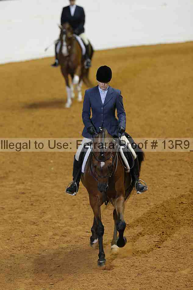 Proof 13r9_3310