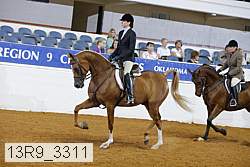 13r9_3311 proof