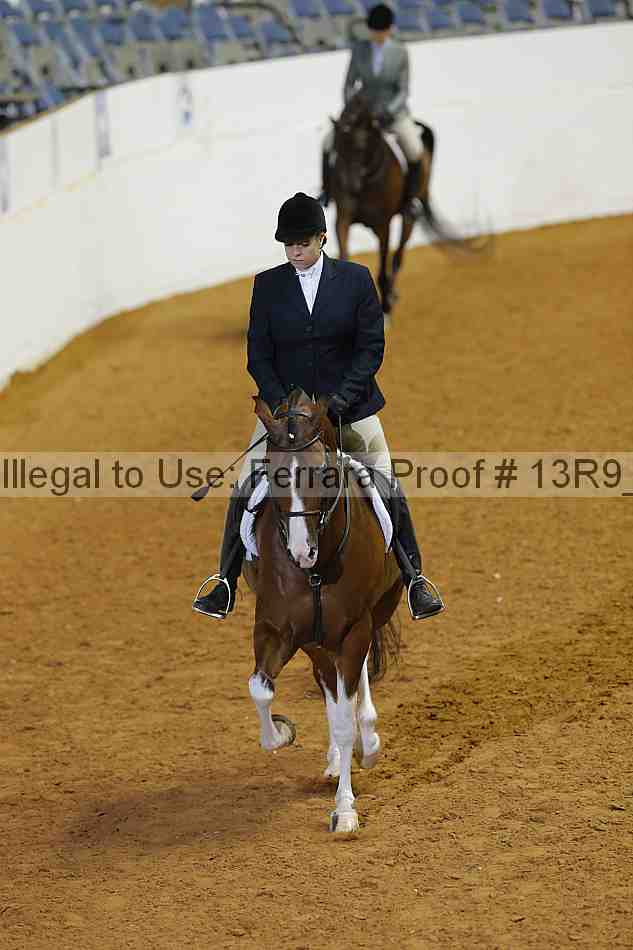 Proof 13r9_3313