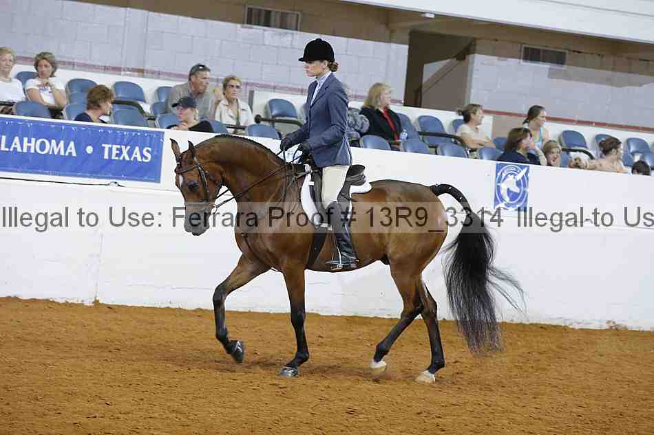 Proof 13r9_3314