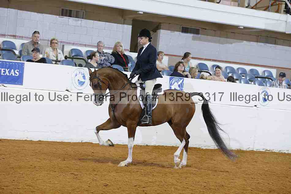 Proof 13r9_3317