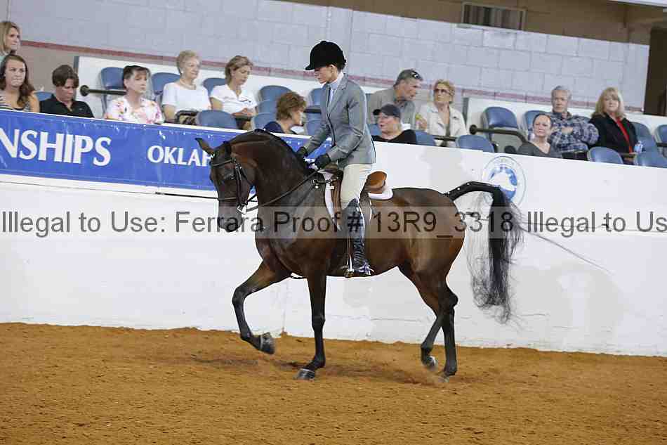 Proof 13r9_3318
