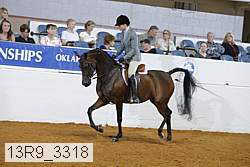 13r9_3318 proof
