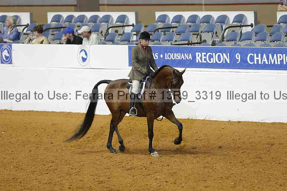 Proof 13r9_3319