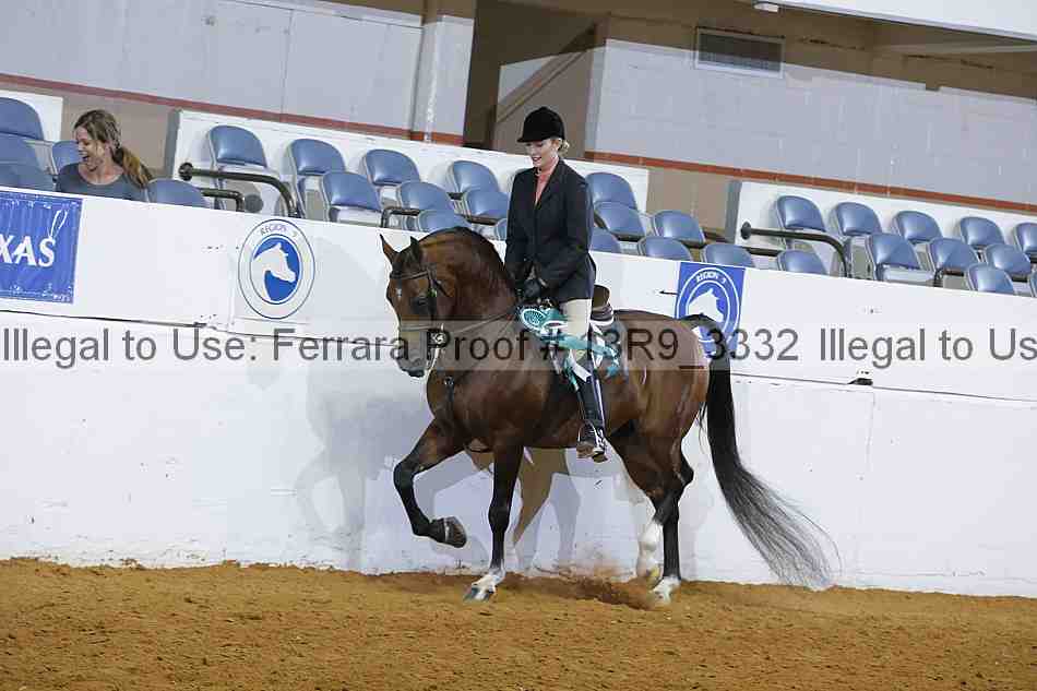 Proof 13r9_3332