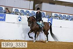 13r9_3332 proof