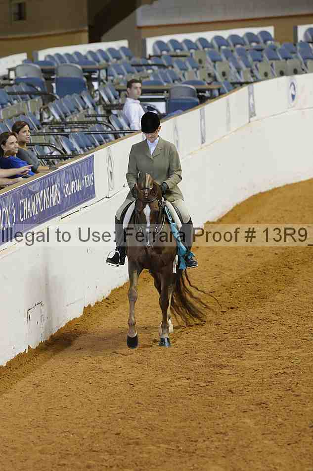 Proof 13r9_3334