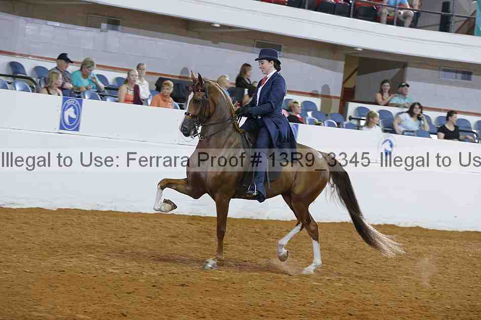 Proof 13r9_3345