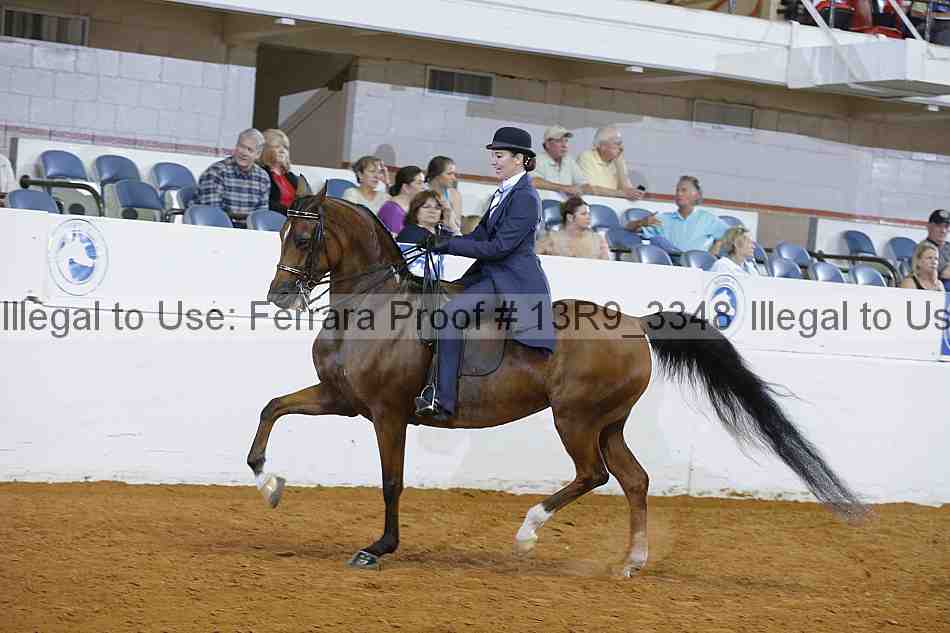 Proof 13r9_3348