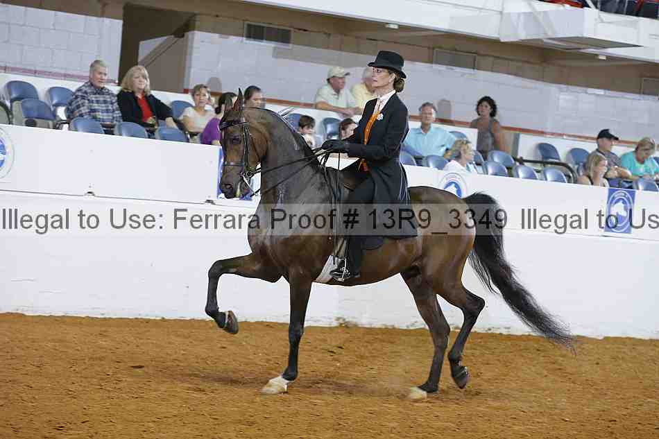 Proof 13r9_3349