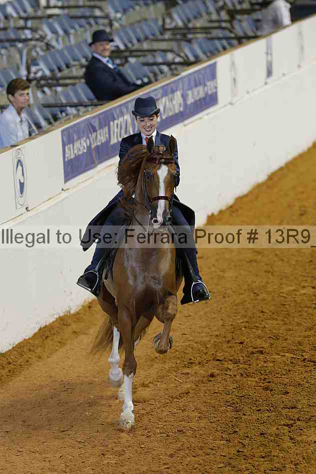 Proof 13r9_3351
