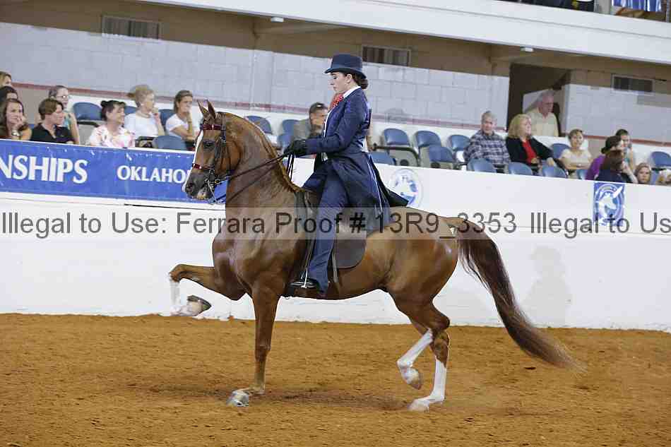 Proof 13r9_3353