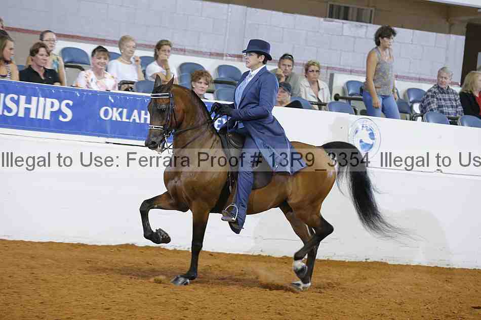 Proof 13r9_3354