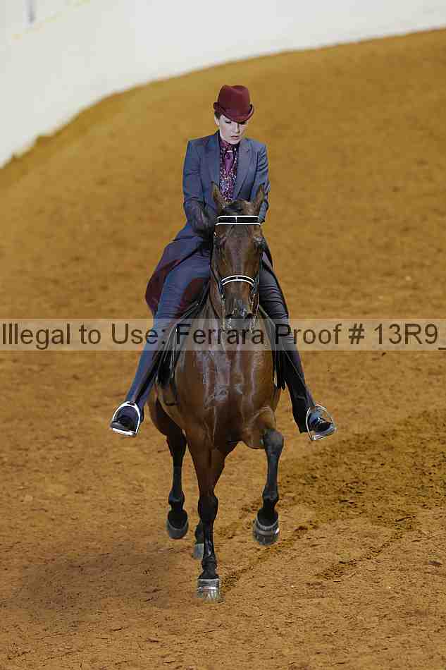 Proof 13r9_3355