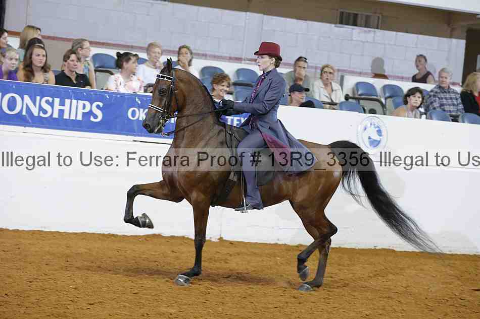 Proof 13r9_3356