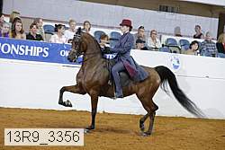 13r9_3356 proof