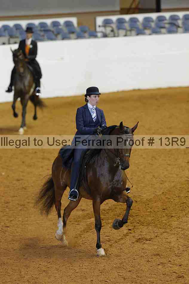 Proof 13r9_3357