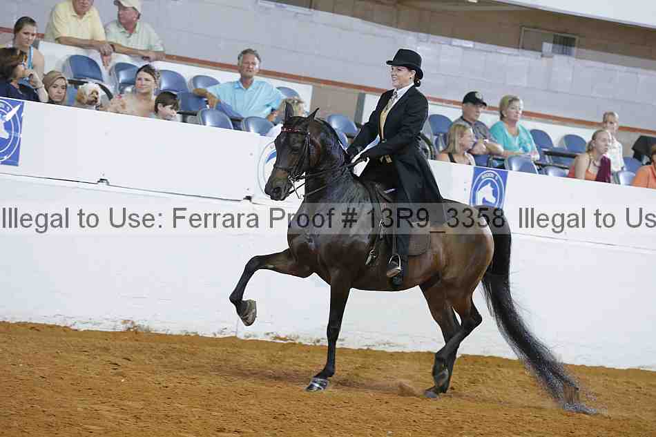 Proof 13r9_3358