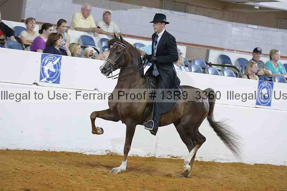 Proof 13r9_3360