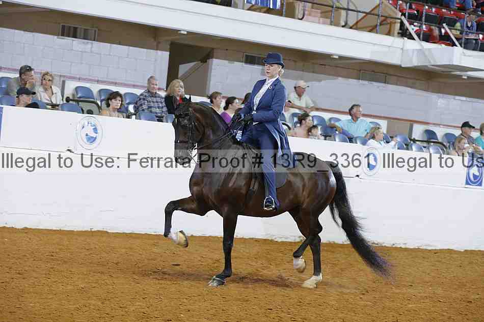 Proof 13r9_3361