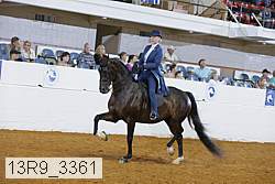 13r9_3361 proof