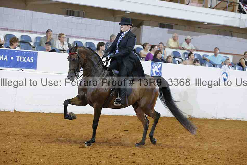 Proof 13r9_3368