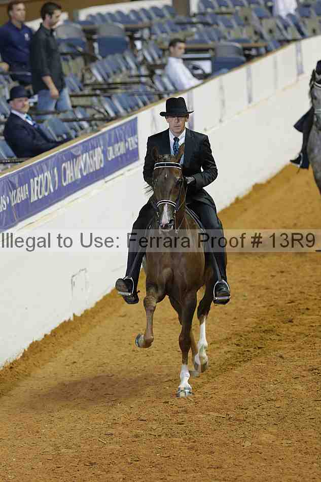 Proof 13r9_3371