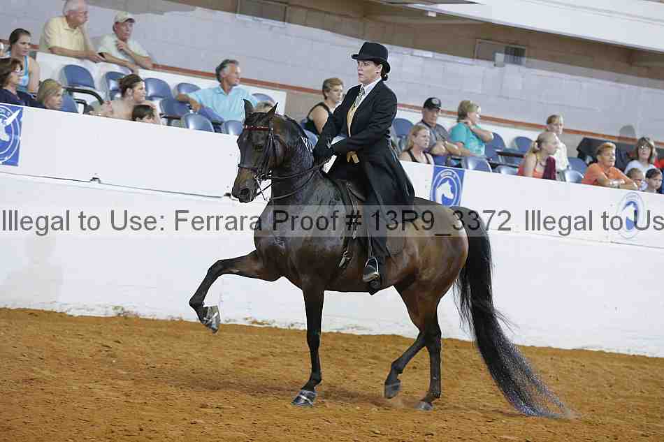 Proof 13r9_3372