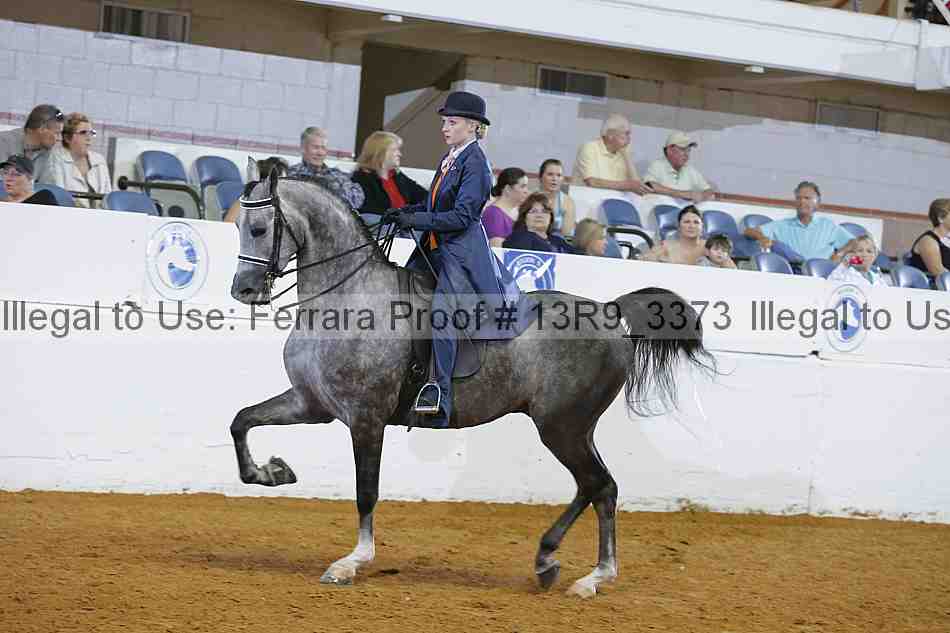 Proof 13r9_3373