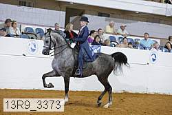 13r9_3373 proof