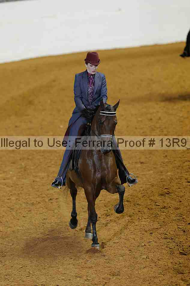 Proof 13r9_3375