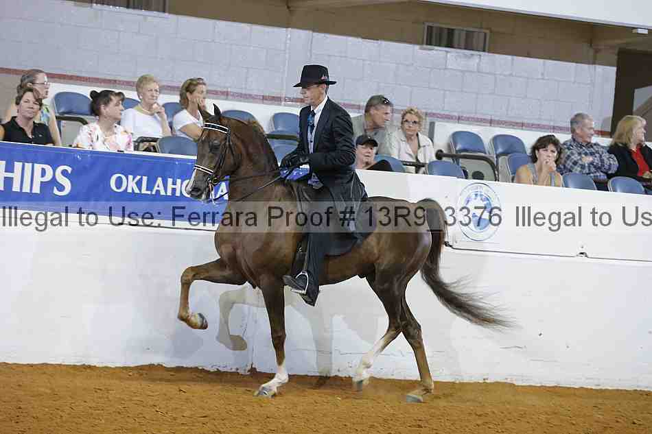 Proof 13r9_3376