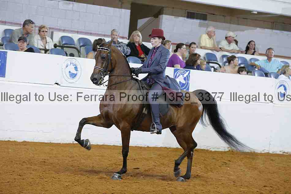 Proof 13r9_3377